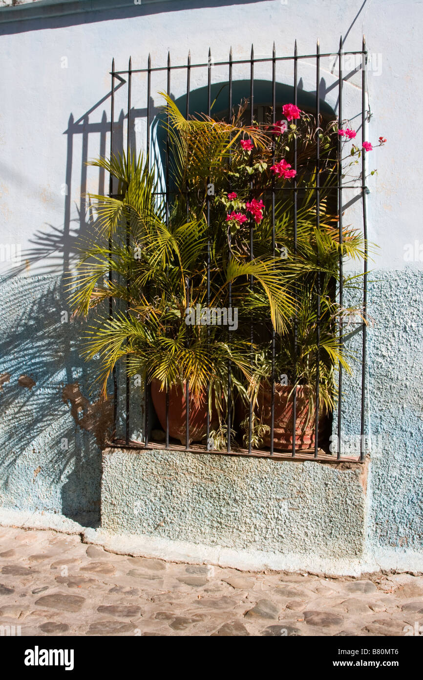 Oaxaca, Mexico, North America. Window and grill, Calle de Morelos. Stock Photo
