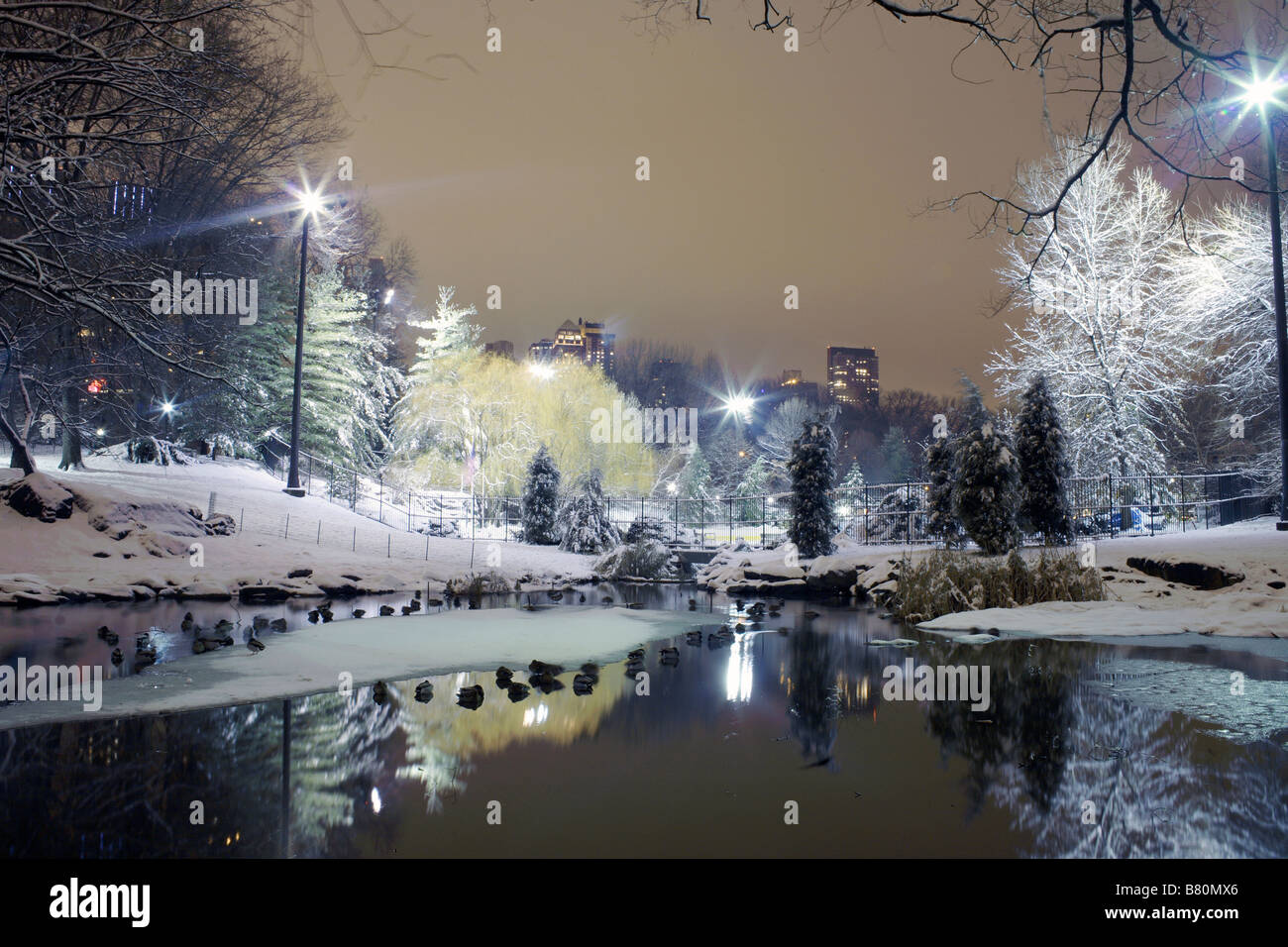 HD wallpaper: new york, united states, central park south, nyc, city, new  york city | WallpaperFlare, image size:1300x956