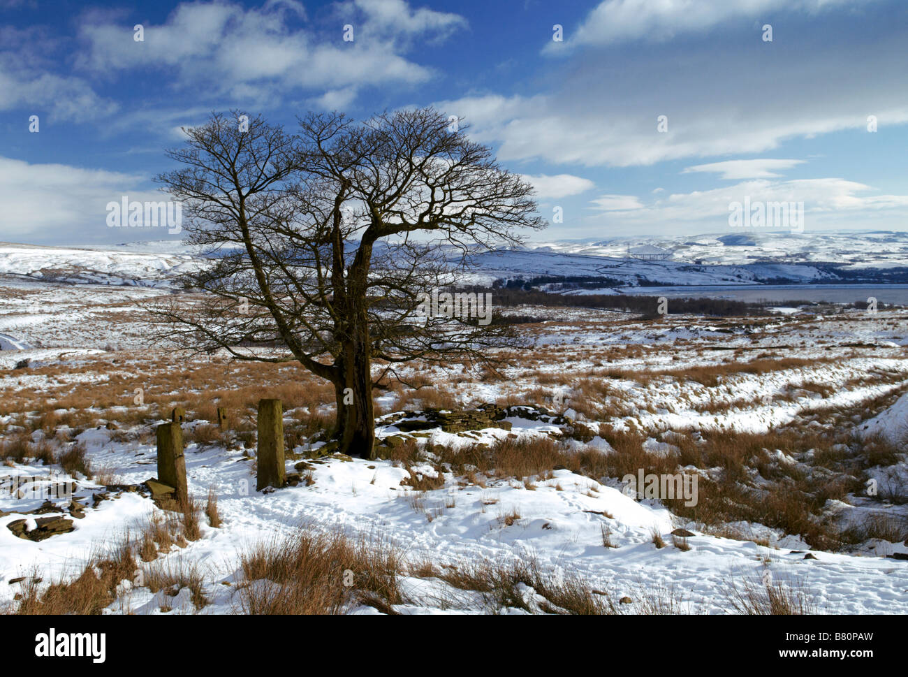 A view of the Pennine bridleway and moorland above Whitworth