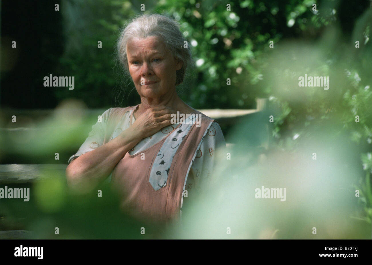 Les dames de Cornouailles Ladies in lavender Year: 2005 - UK Judi Dench Director: Charles Dance Stock Photo