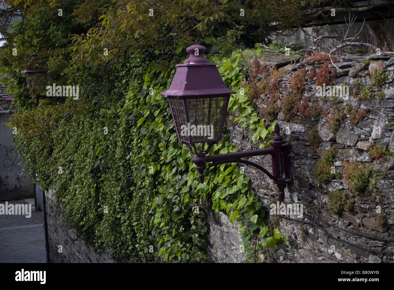 Old street lamp on a wall with creeper Stock Photo