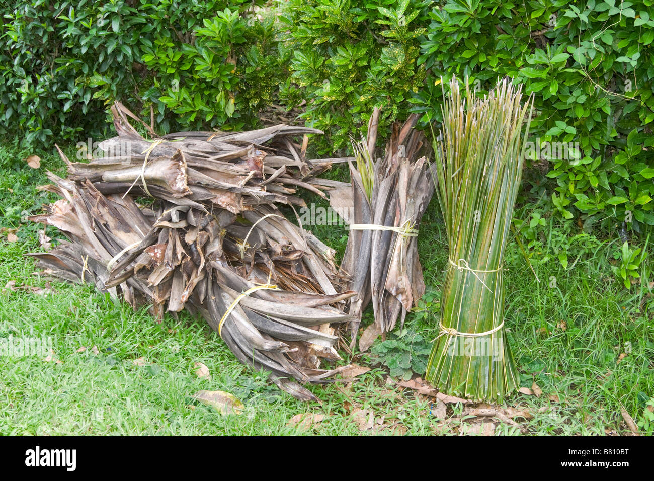 Bundles of palm leaves and bark wait for collection in Bali, Indonesia