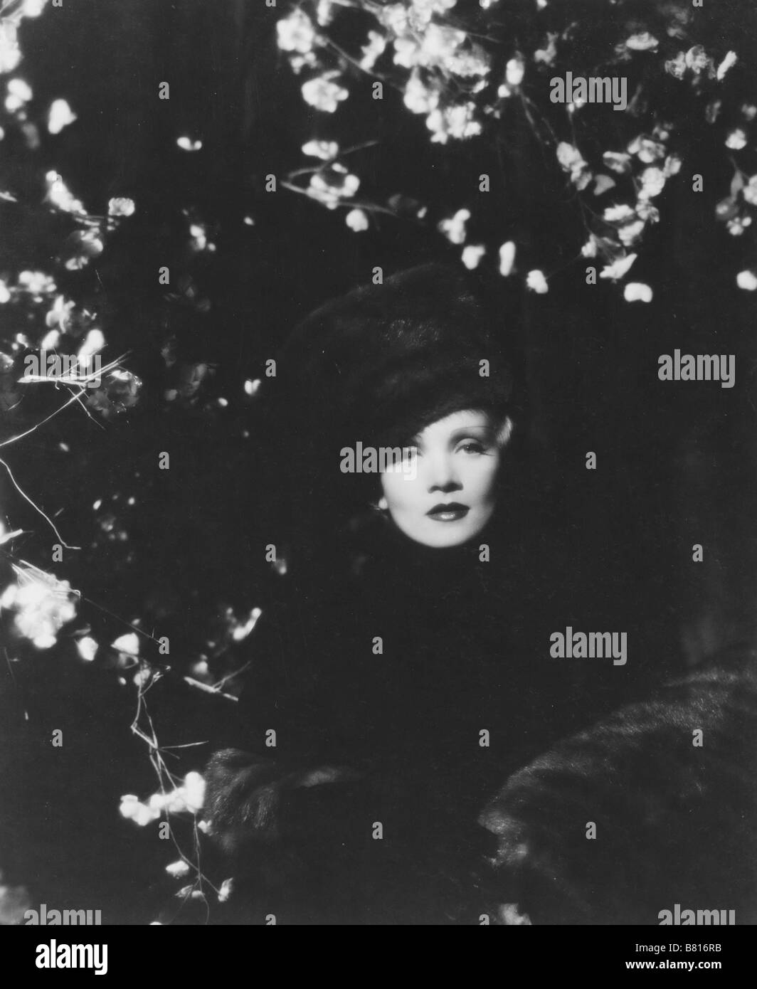 L'imperatrice rouge the scarlett empress Year 1934 USA Marlène