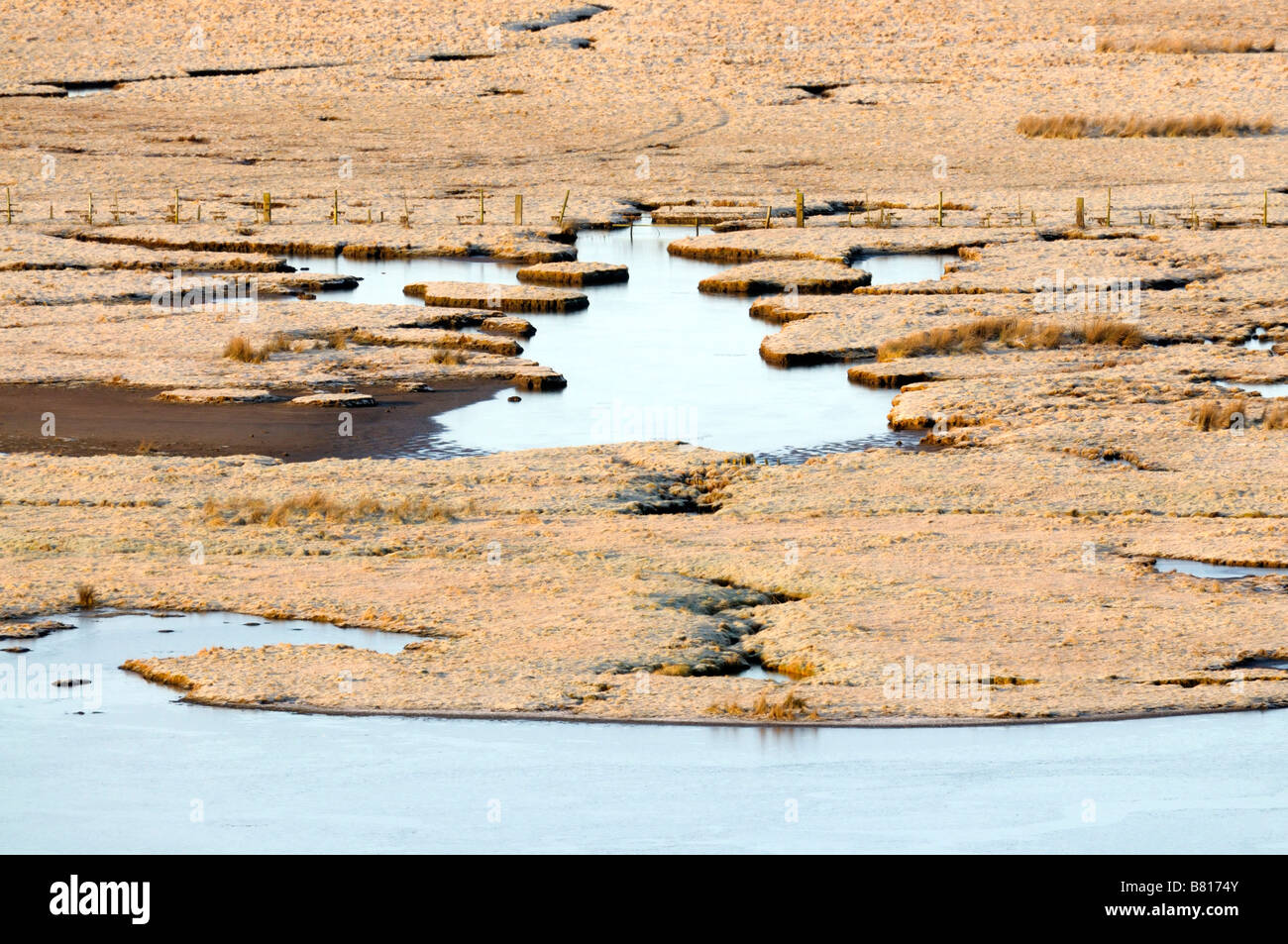 Salt Marsh Stock Photo