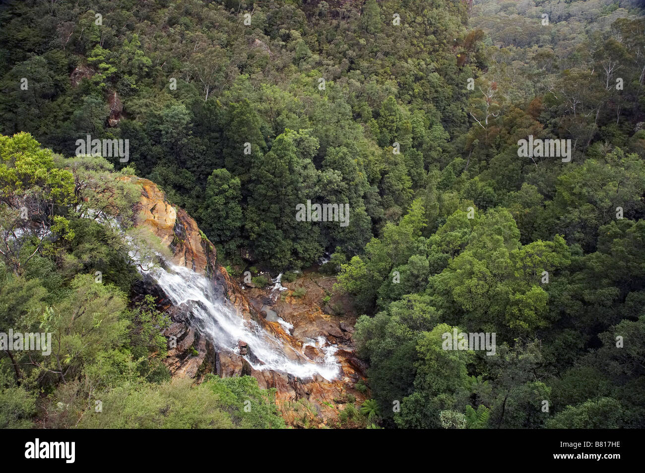 Bridal Veil Falls Leura Falls Blue Mountains New South Wales Australia