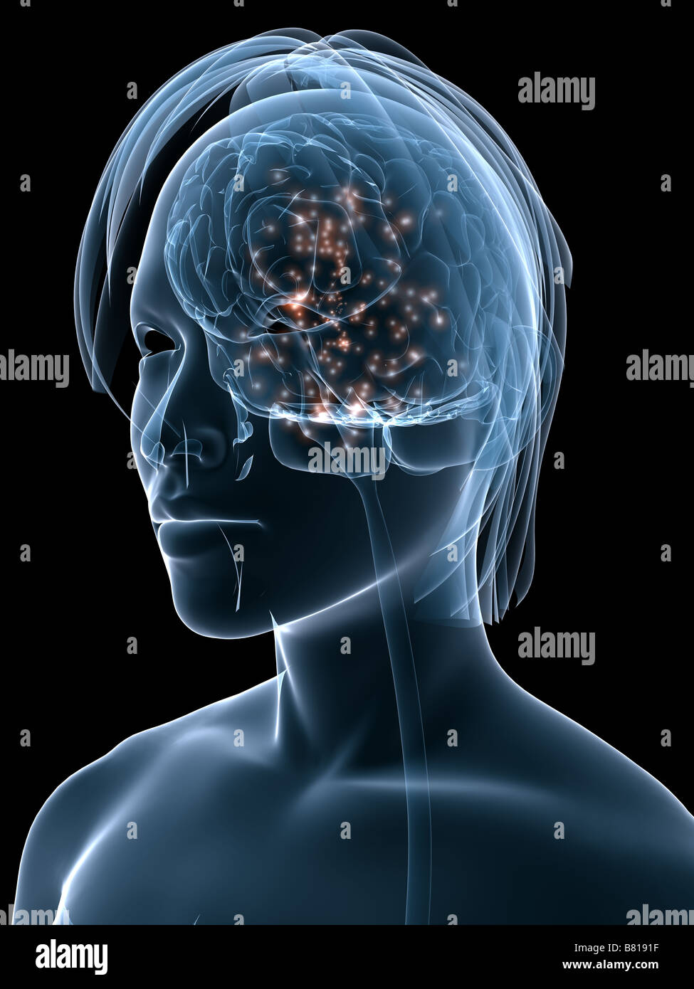 active human brain Stock Photo