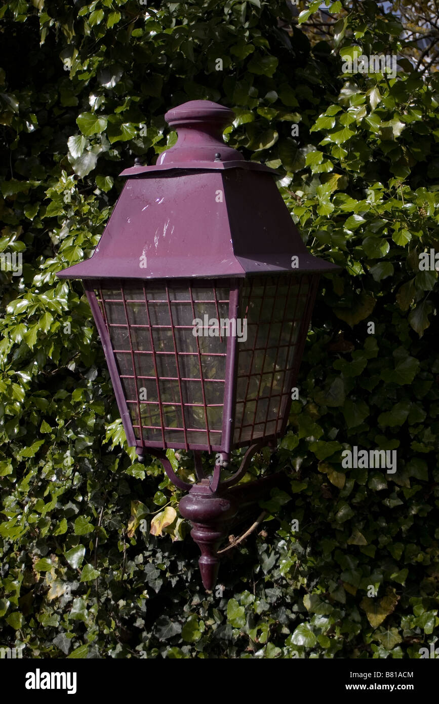 Old street lamp on a wall with creeper Stock Photo