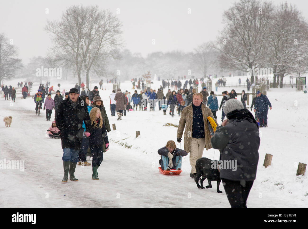 Crowds in Richmond Park during the winter snows of 2009 Stock Photo