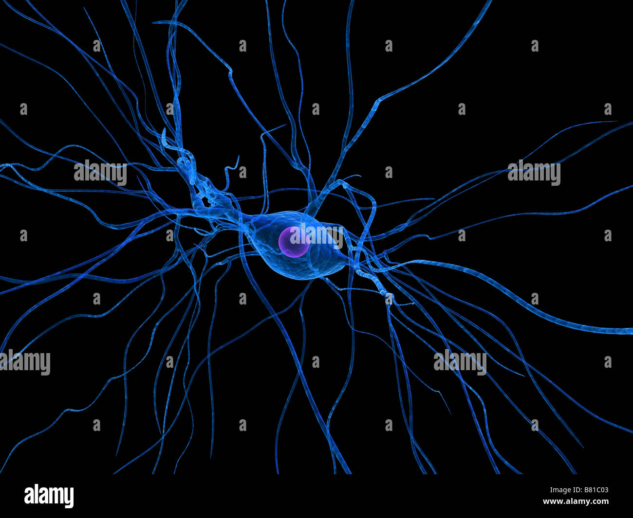 nerve cell Stock Photo