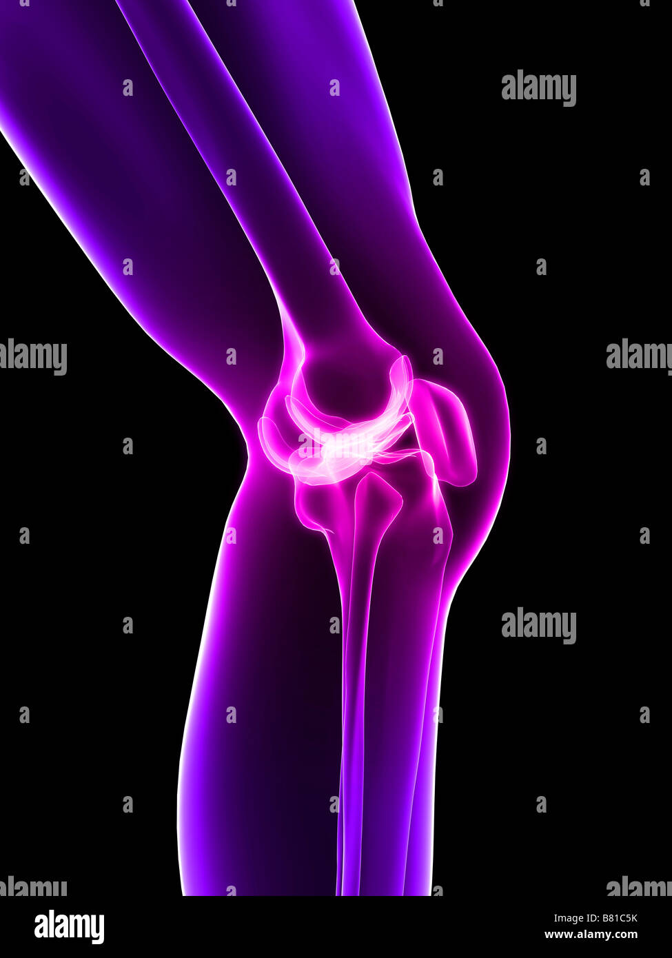 Human knee pain hi-res stock photography and images - Alamy