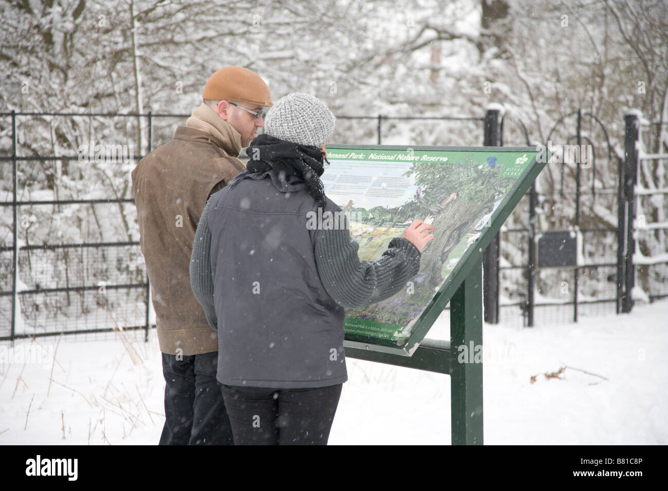 Couple check map display in Richmond Park Stock Photo