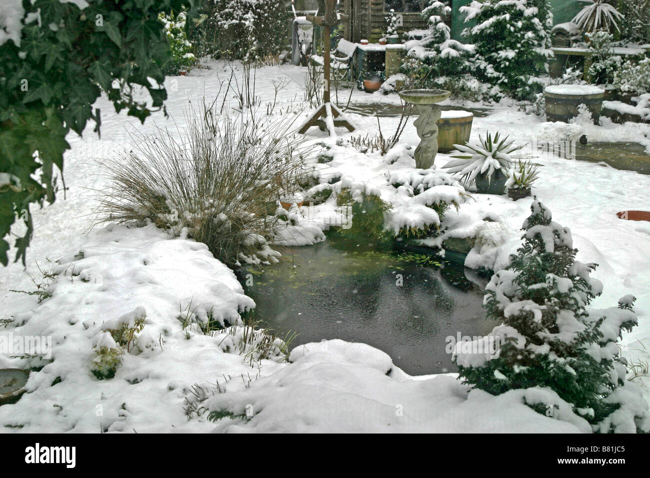 Pouring very hot water from an elecric kettle to melt ice formed on  domestic garden pond Stock Photo - Alamy