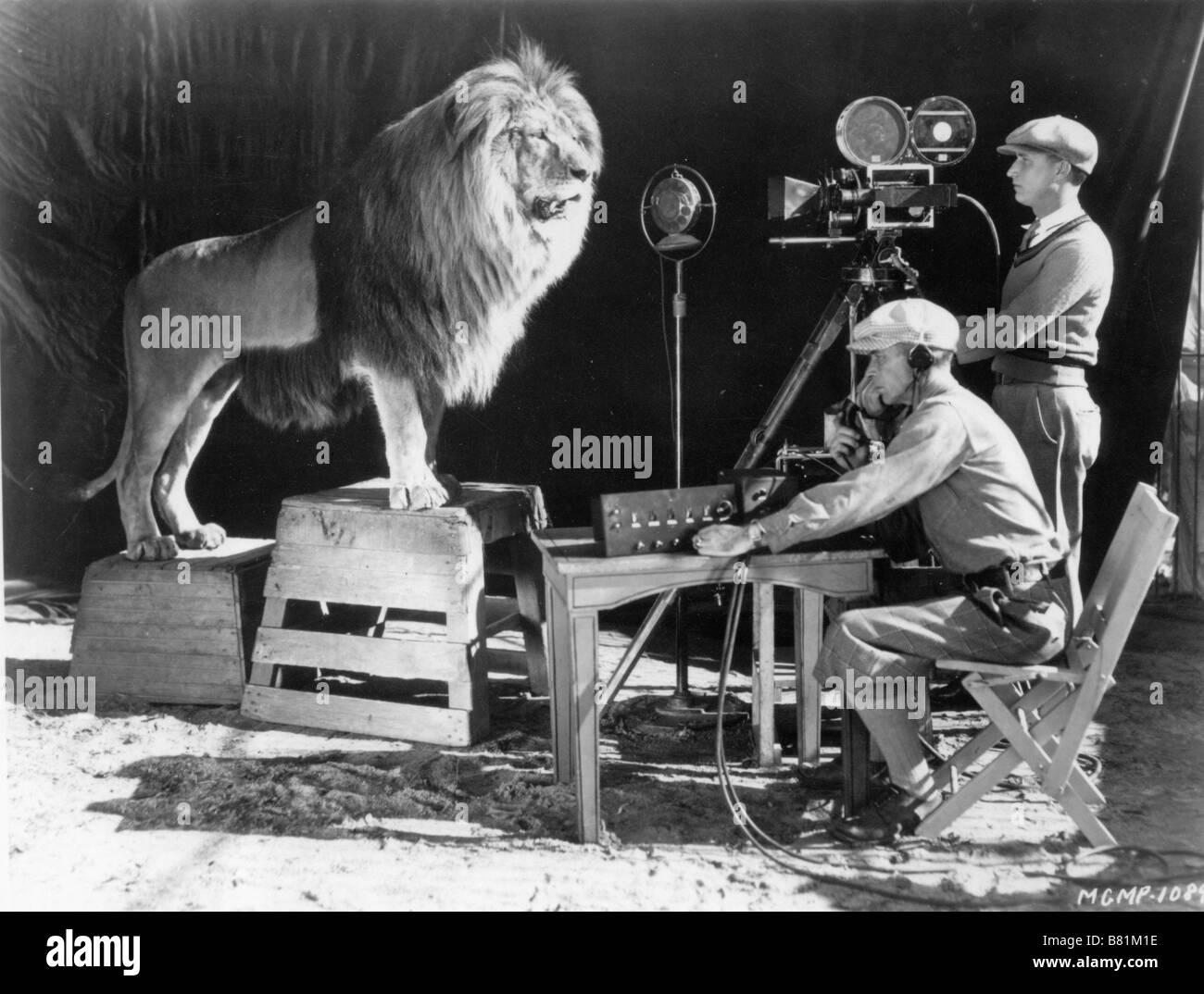 Lion MGM Lion MGM Tournage on the set du lion de la MGM Stock Photo