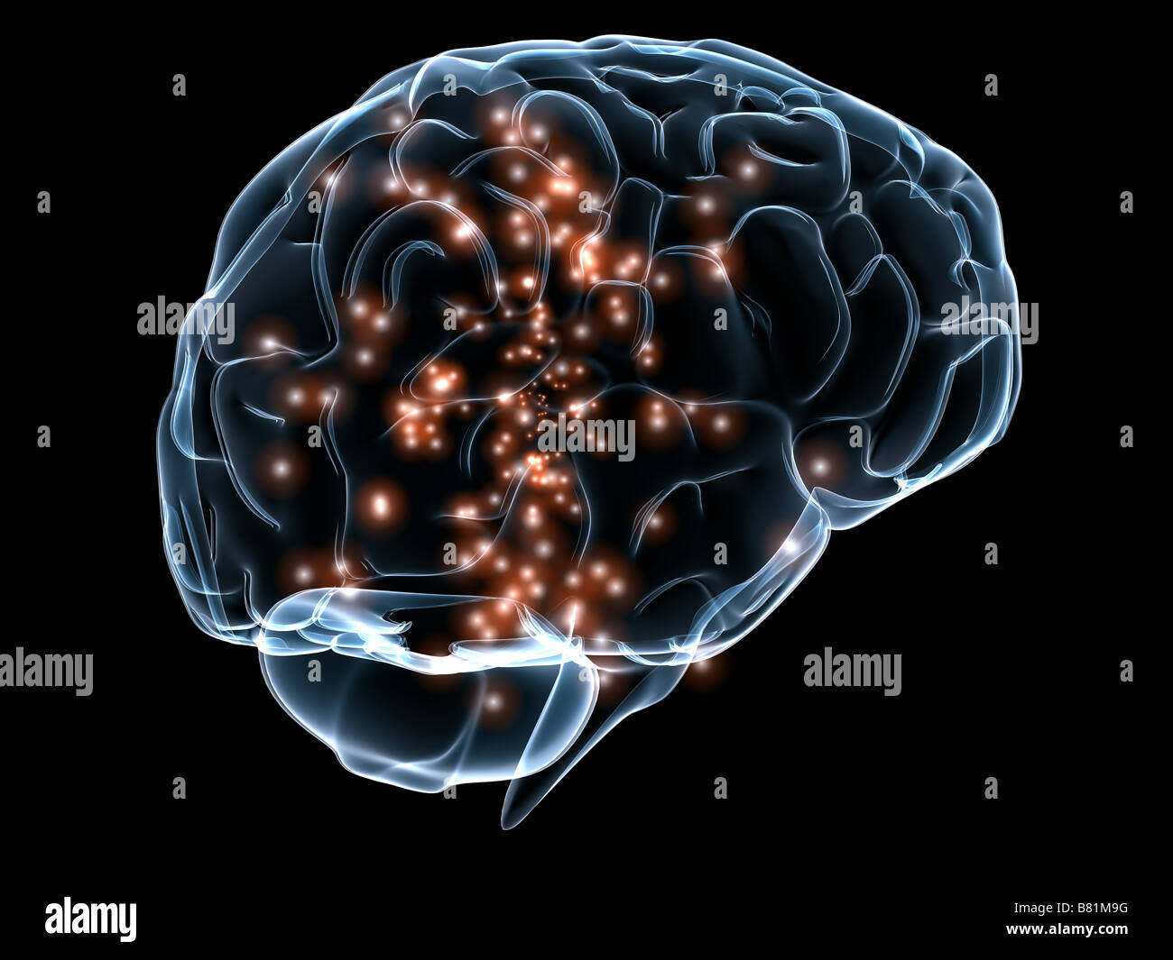active-brain-stock-photo-alamy