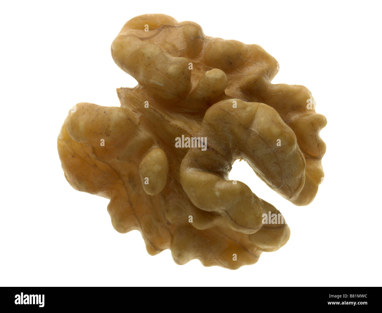 walnut half Stock Photo