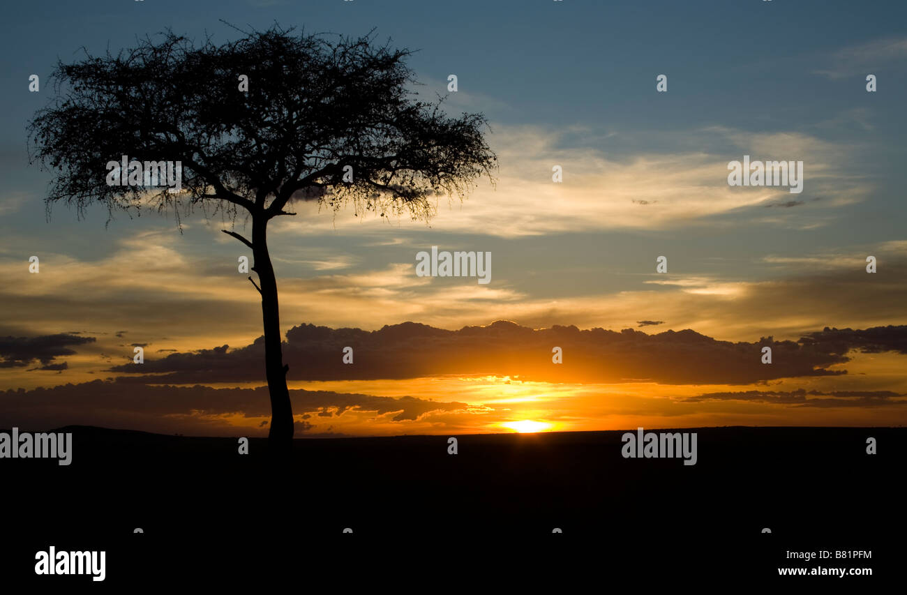 Sunset over the masai mara hi-res stock photography and images - Alamy