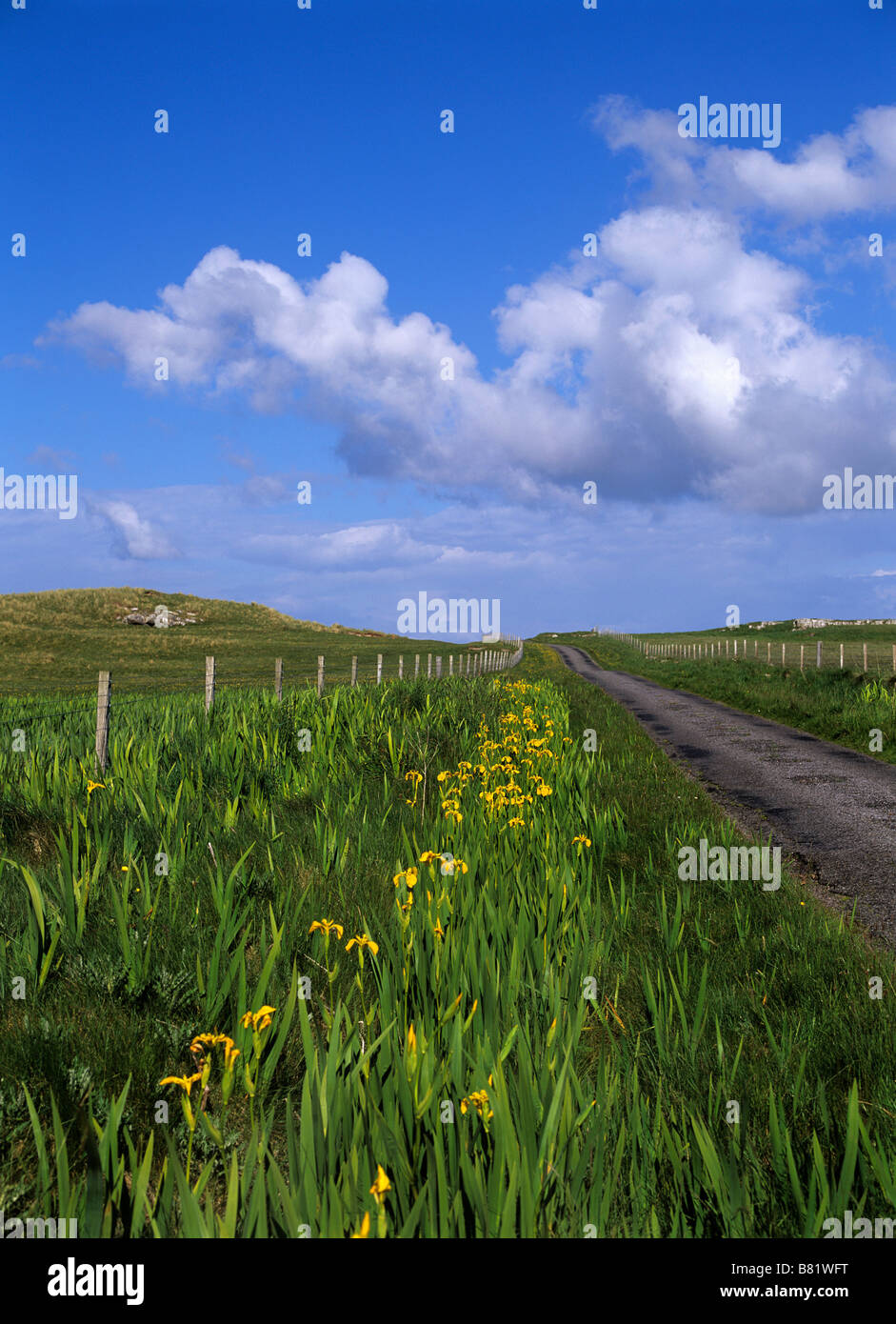 Island of Coll Inner Hebrides Scotland Europe Stock Photo Alamy Island of Coll Inner Hebrides Scotland Europe Stock Photo Alamy