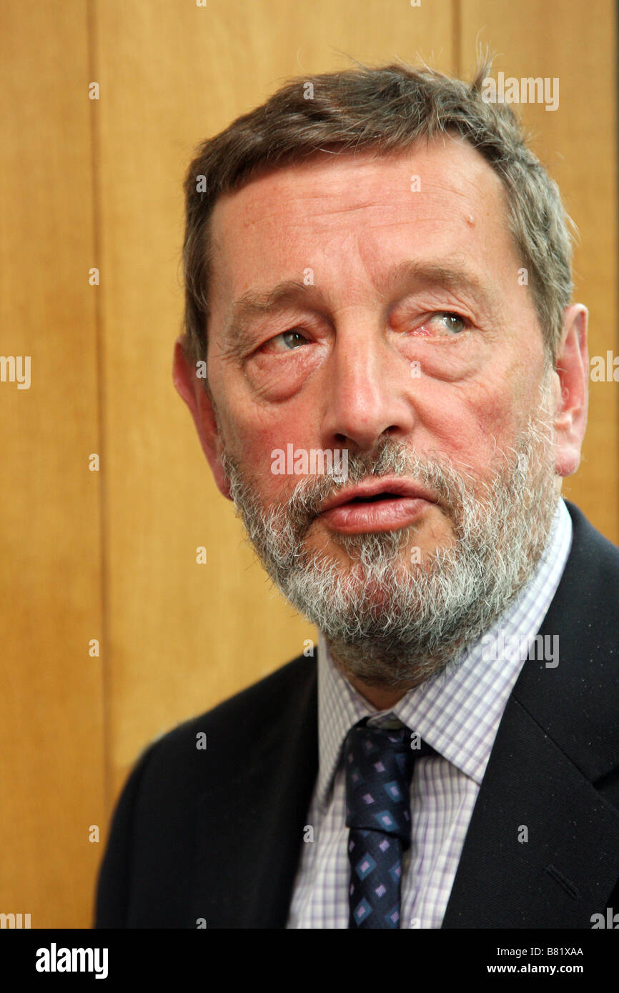 David Blunkett MP Stock Photo Alamy