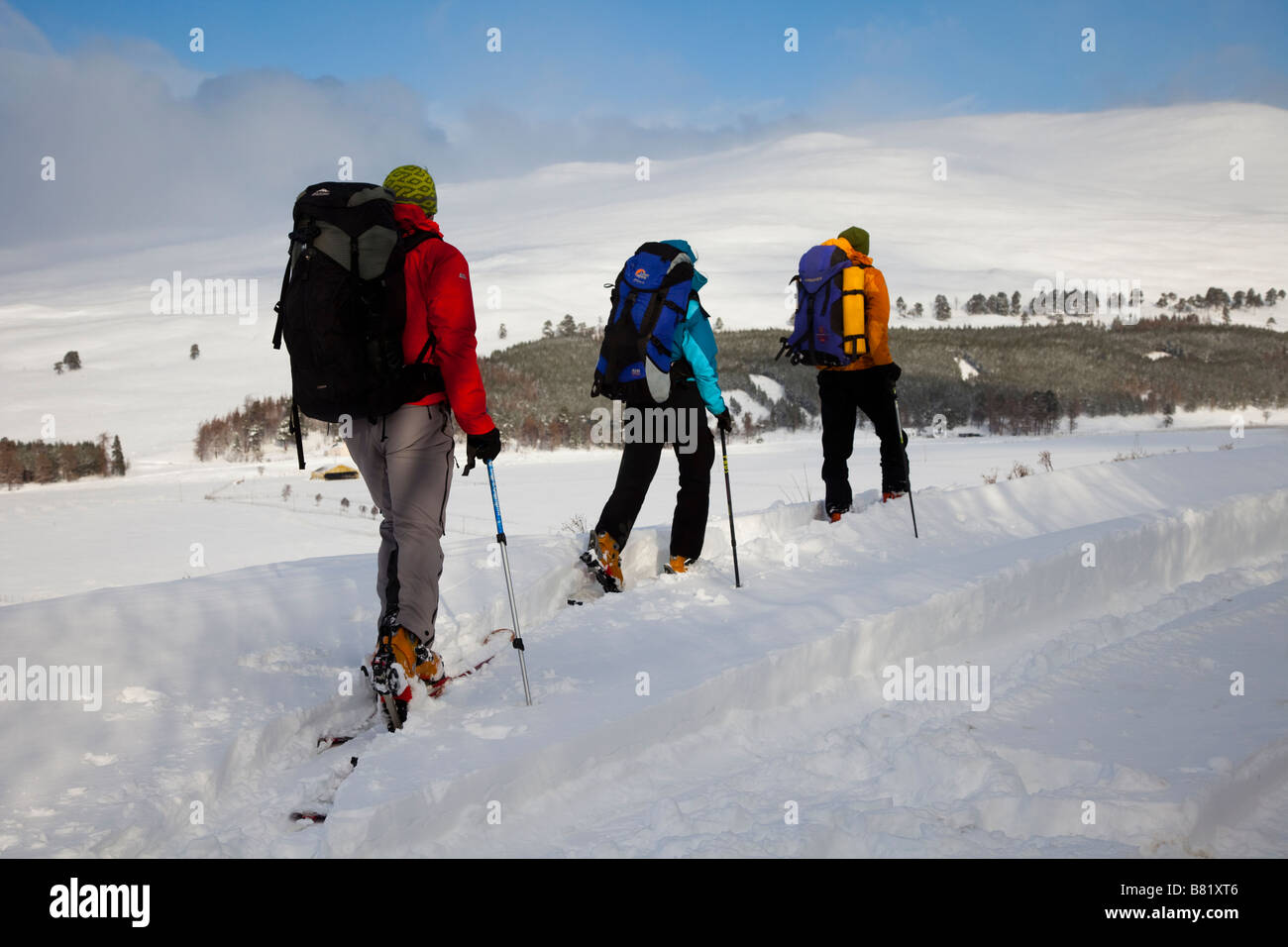 Scottish snow landscape with three people skiing.  Male & female skiers after snowfall, Braemar, Cairngorms National Park, Highlands, Scotland, UK Stock Photo