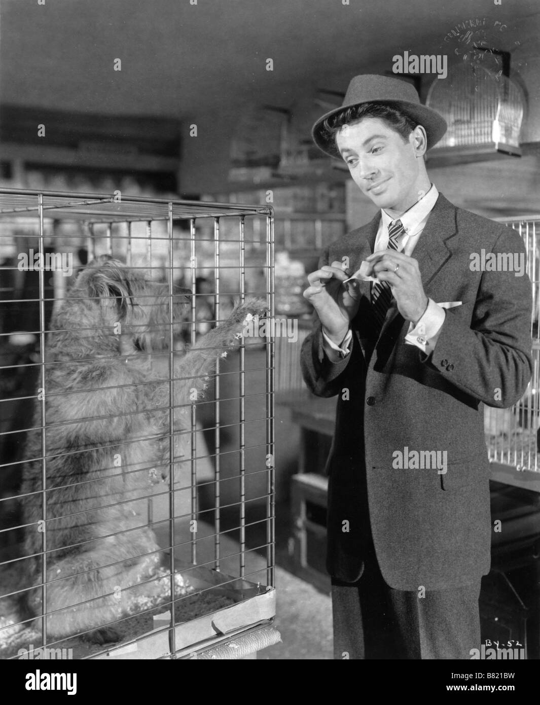 Symphonie en 6, 35 Behave Yourself!  Year: 1951 USA Farley Granger  Director: George Beck Stock Photo