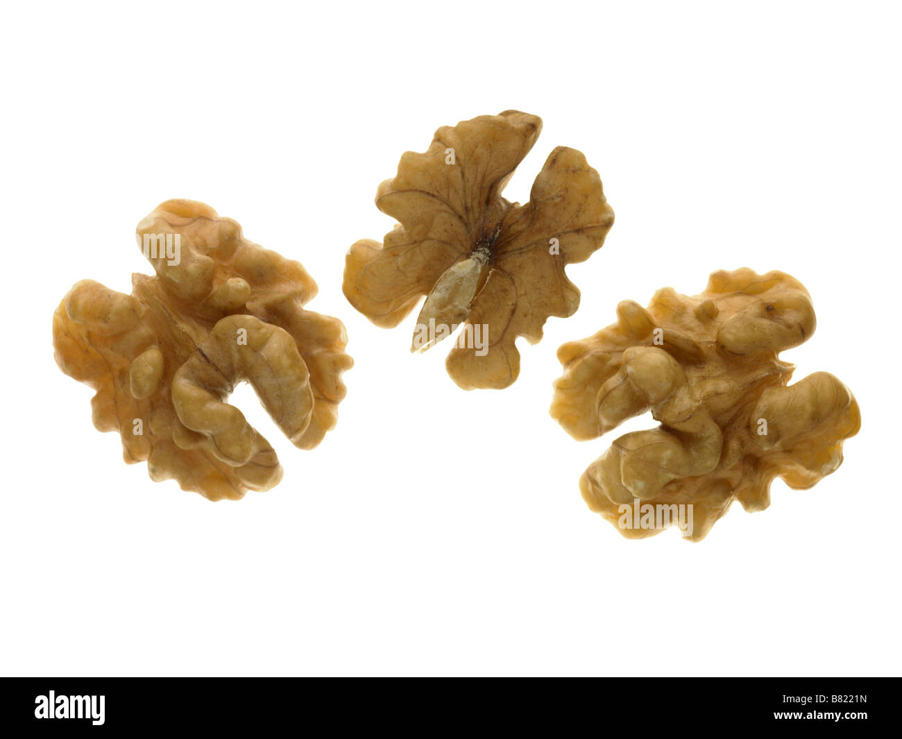 walnut halves Stock Photo