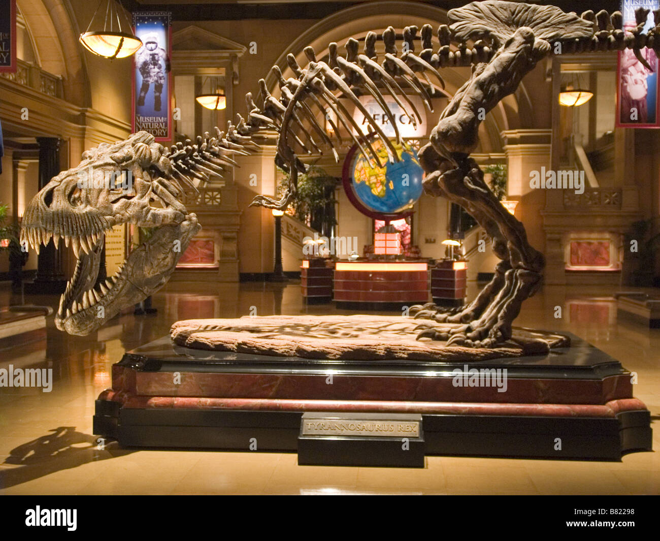 Night at the Museum Year 2006 USA Director Shawn Levy Stock Photo Alamy