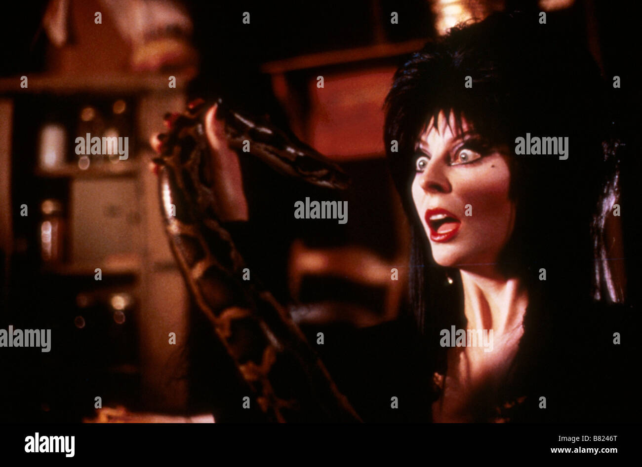 Elvira, Maitresse des ténèbres Elvira, Mistress of the Dark  Year: 1988 USA Cassandra Peterson  Director: James Signorelli Stock Photo