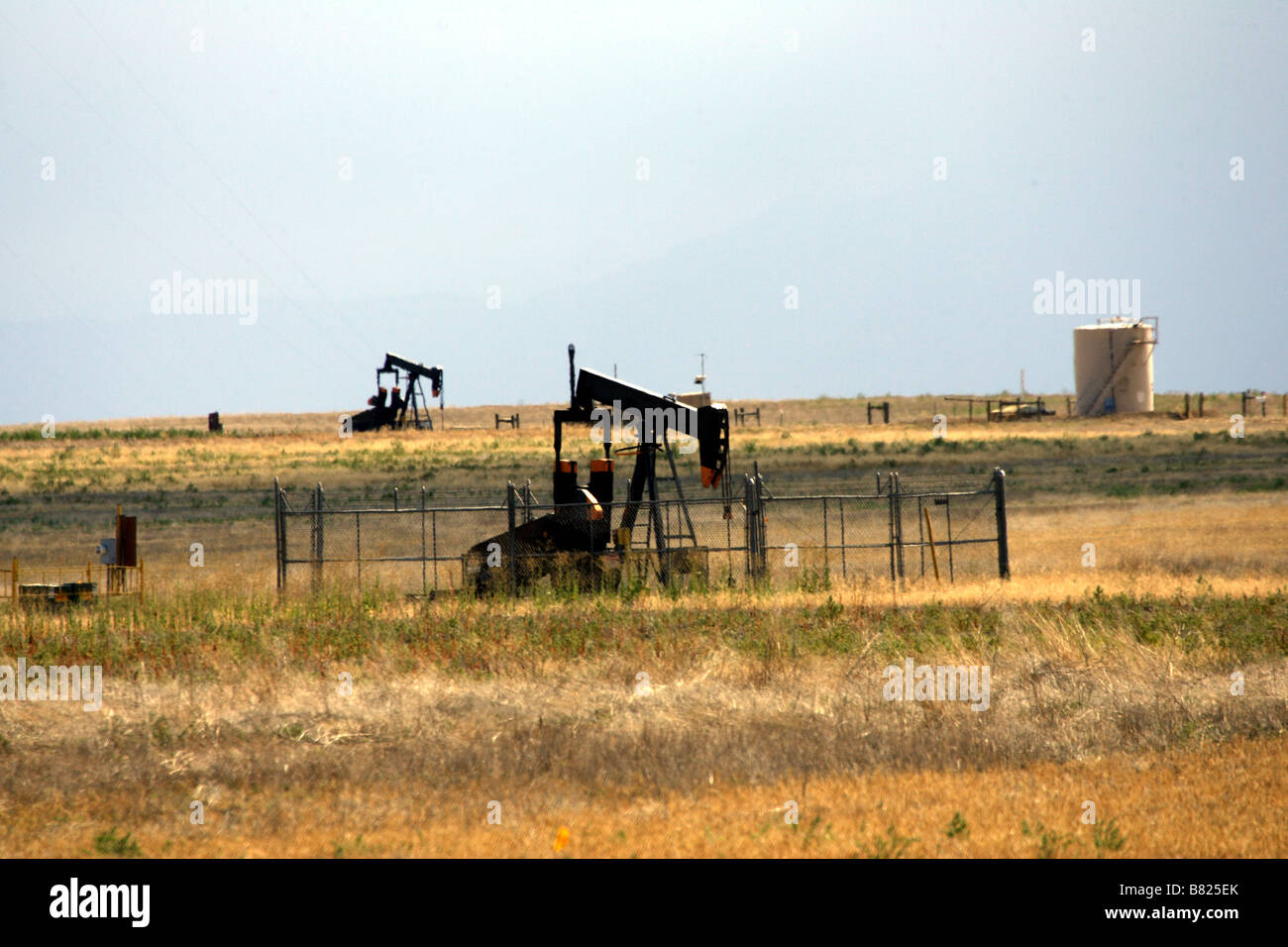 NODDING DONKEYS IN COLORADO Stock Photo Alamy