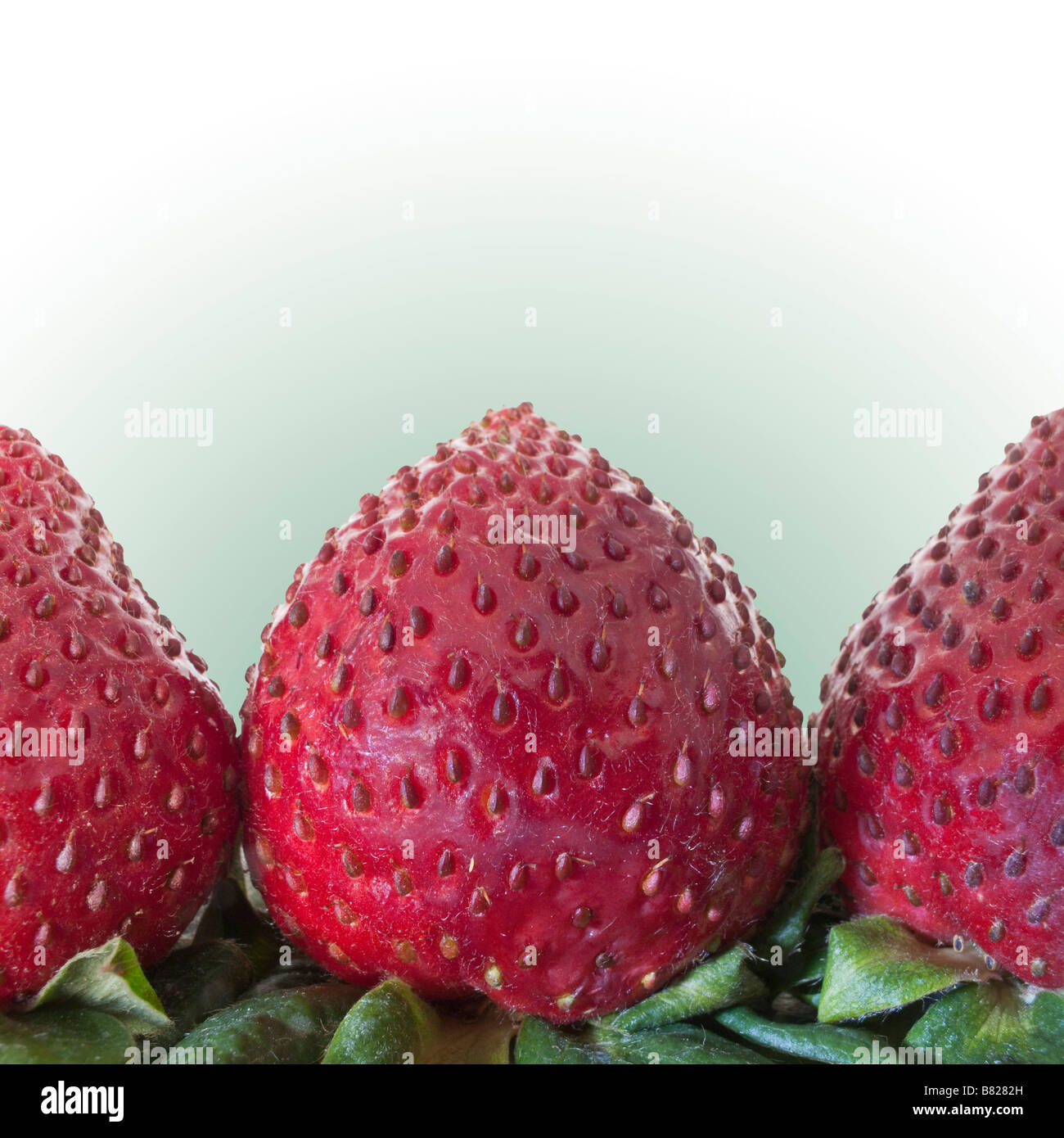 Strawberry macro close up hi-res stock photography and images - Alamy