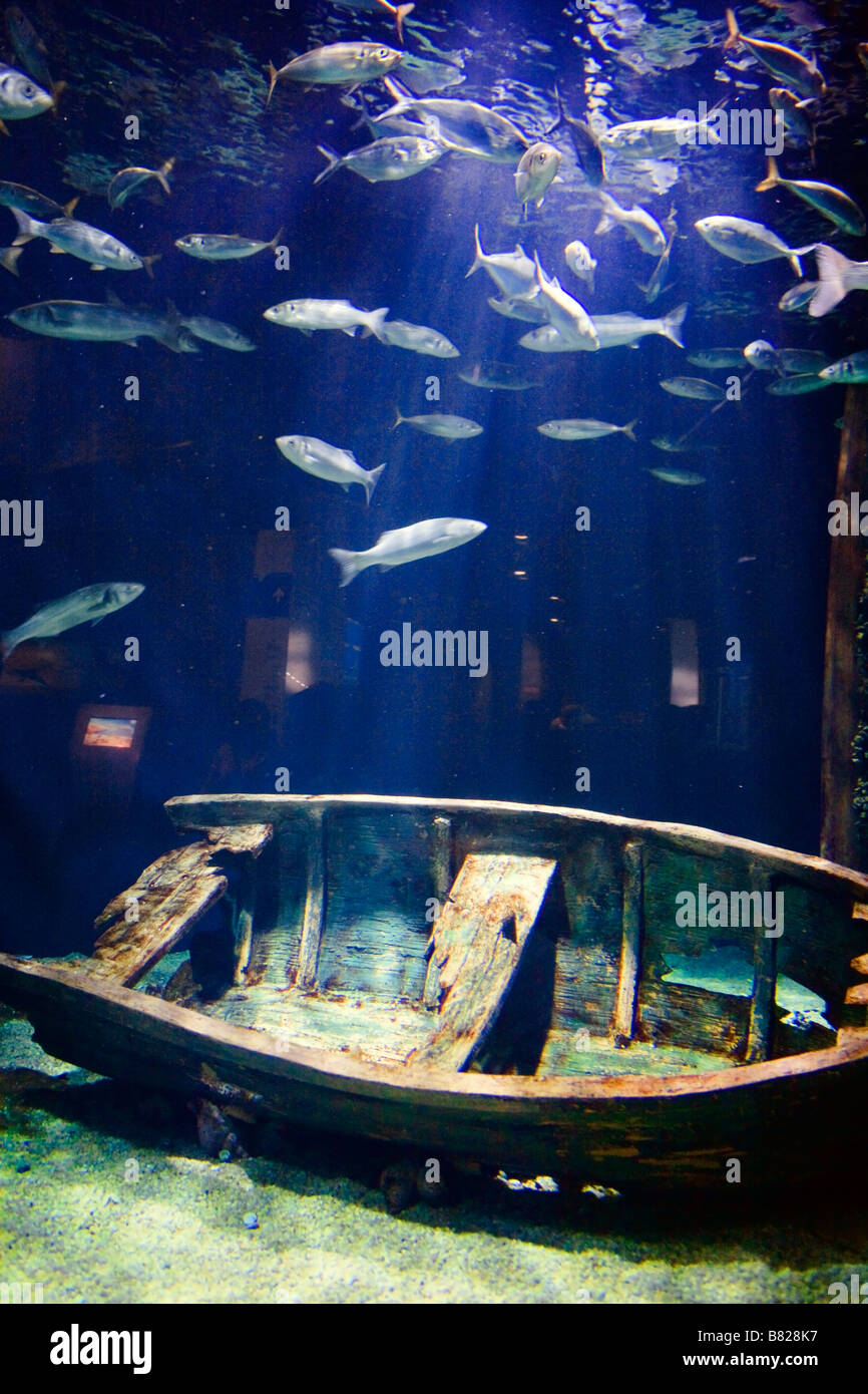 boat underwater Aquarium, L'oceanografic, Valencia,Spain Stock Photo