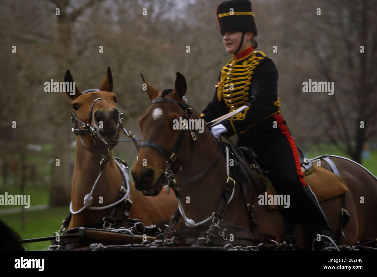 Army London England Europe soldier gun salute Stock Photo