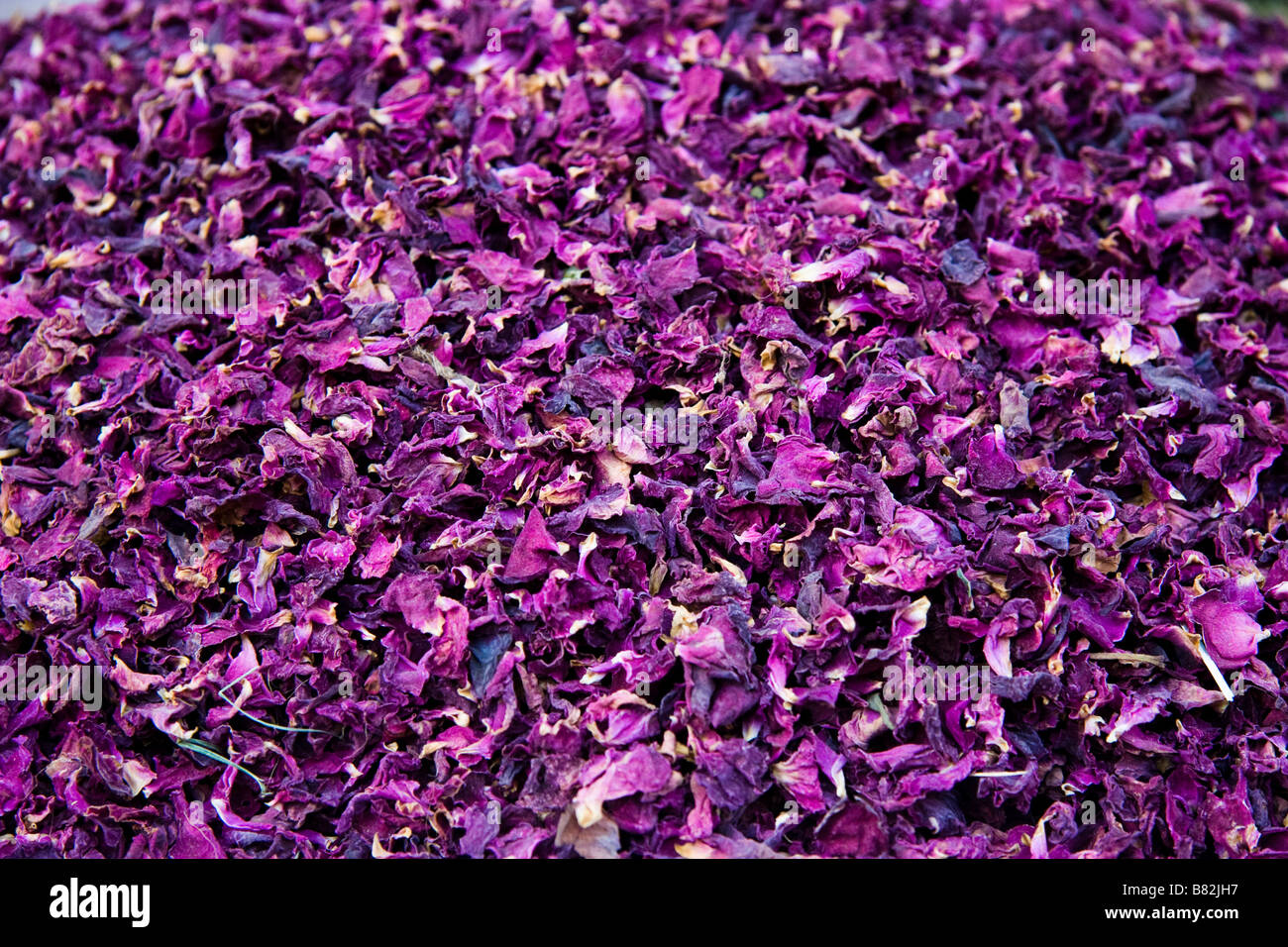 Spices on sale Bazaar Bikaner Rajasthan India Stock Photo