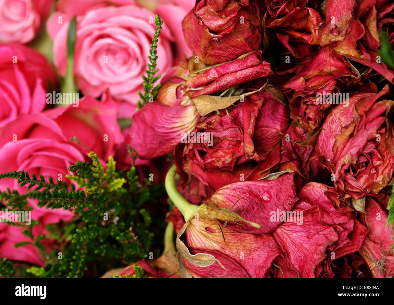 Dead flowers bunch delivery hires stock photography and images Alamy