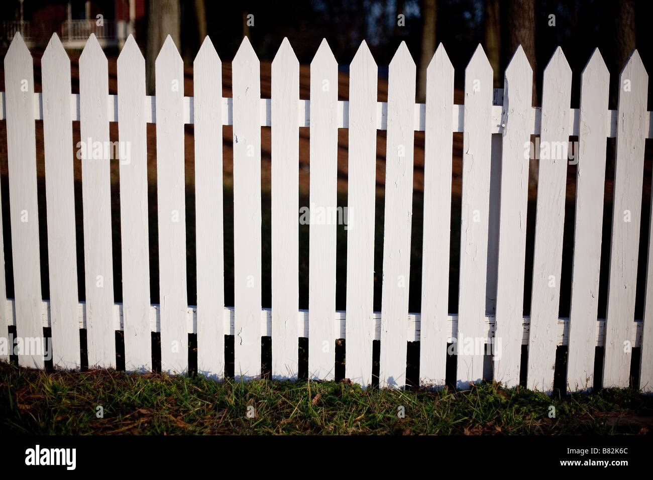 Green grass with a white picket fence  Stock Photo