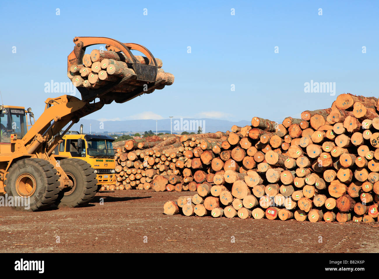 Loader and stock pile of pine logs for export at timber yard,Prime Port,Timaru,Canterbury,South Island,New Zealand Stock Photo