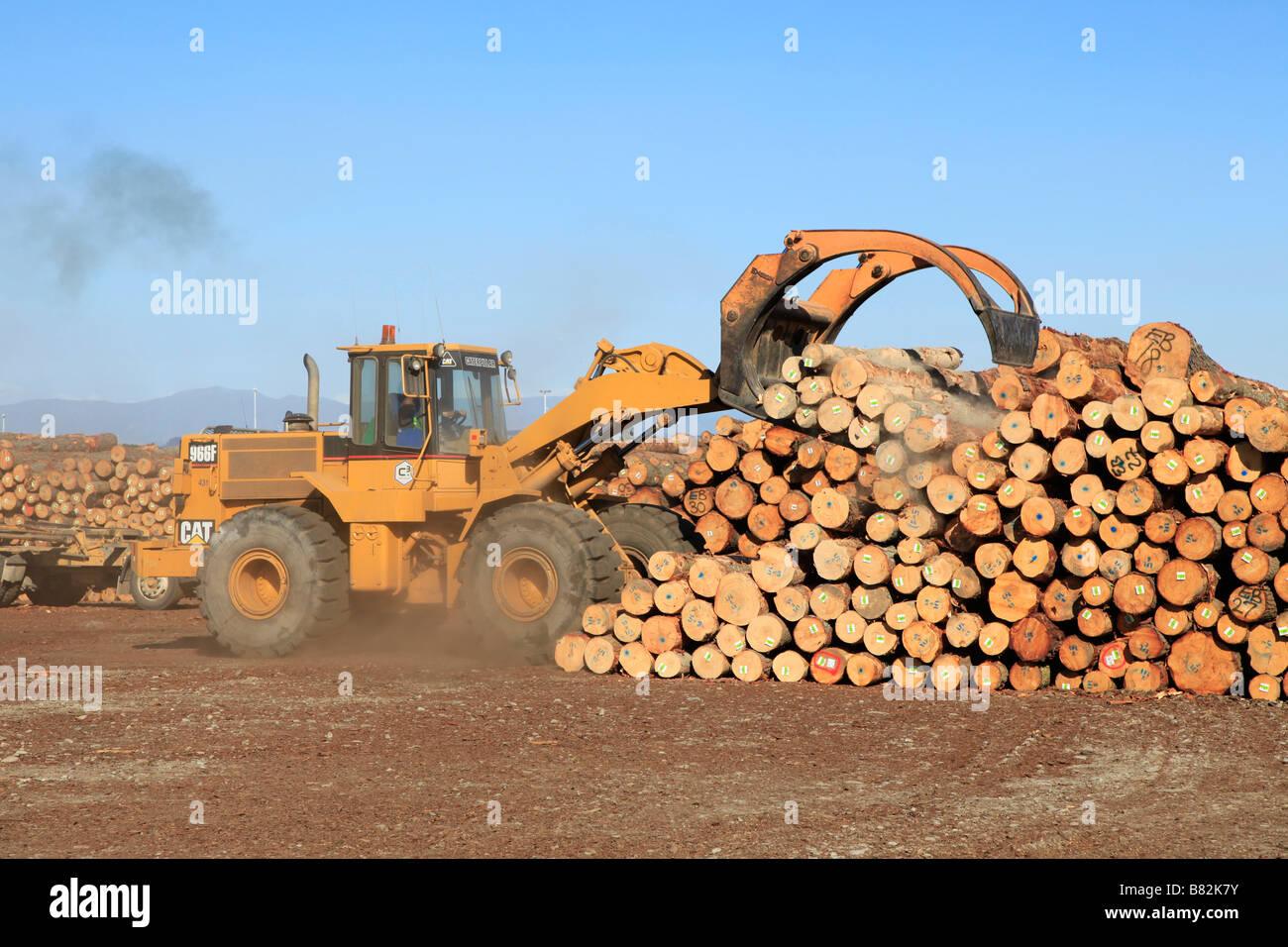 Loader and stock pile of pine logs for export at timber yard,Prime Port