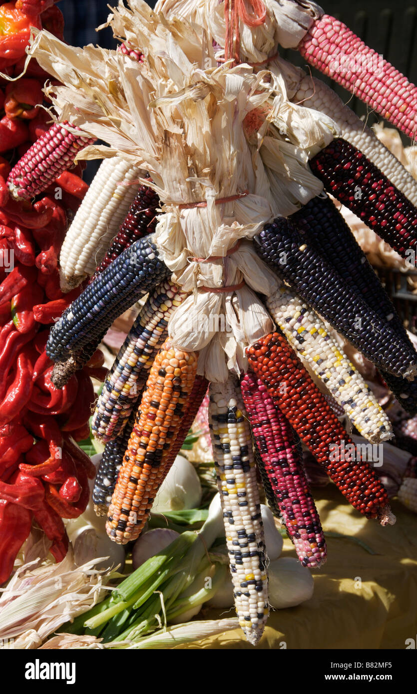 Coloured corn Sunday market Santa Fe New Mexico USA Stock Photo