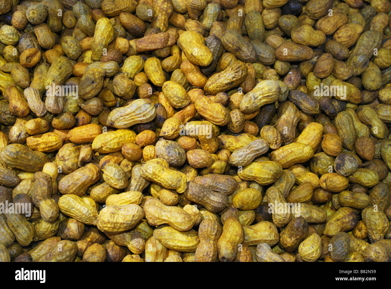 Peanuts in Shell, Sinhgad Market, Maharashtra, India. Stock Photo