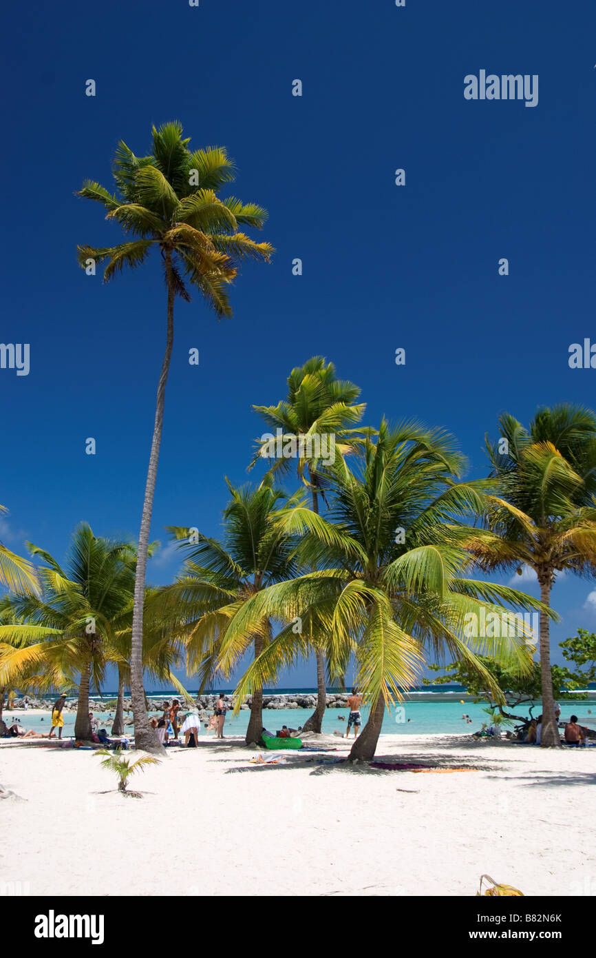 Guadeloupe Caribbean French Antilles Sainte Anne beach, paradise, island, beach, white sand, palms, blue sky, vacation, holiday, Stock Photo