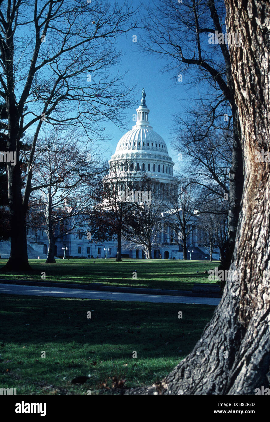 The Capitol Building in Washington DC with surrounding Art Bronze Statues Stock Photo Alamy