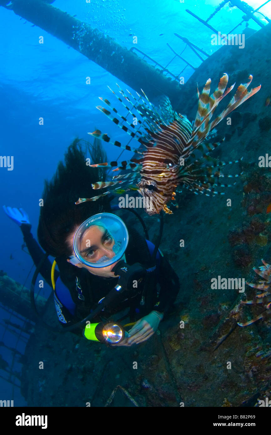 Diver and Lion fish in a wreck in the Red Sea, female diver, oval mask, dangerous, painful, spikes, underwater, scuba, ocean Stock Photo