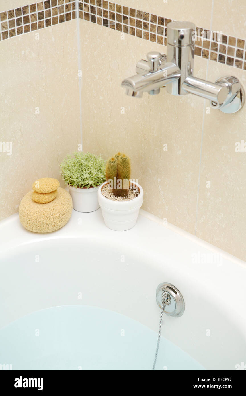 Pot culture and bath sponge on the edge of bathtub Stock Photo