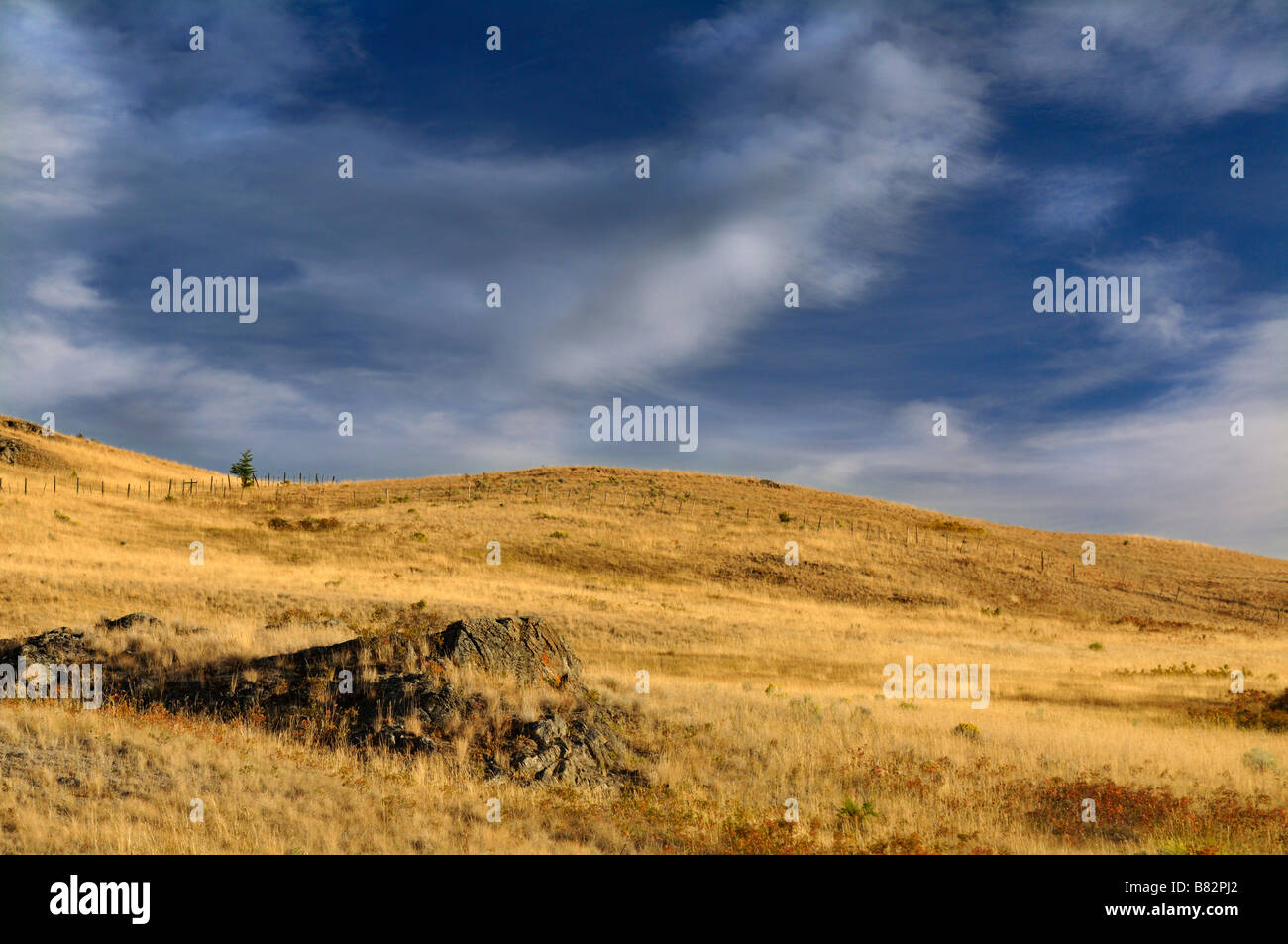 native grasslands British Columbia Stock Photo Alamy