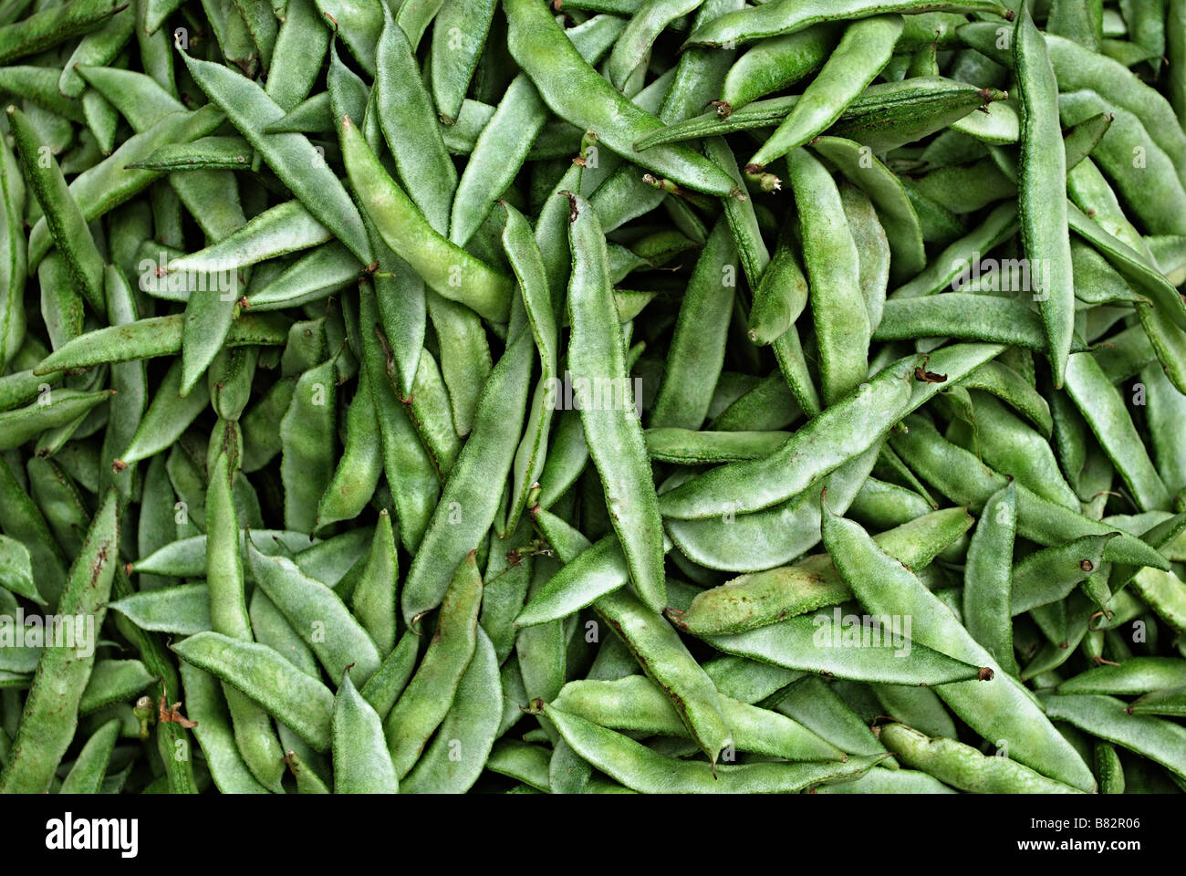 Pavta Papdi (majic beans) , Sinhgad Market, India. Stock Photo