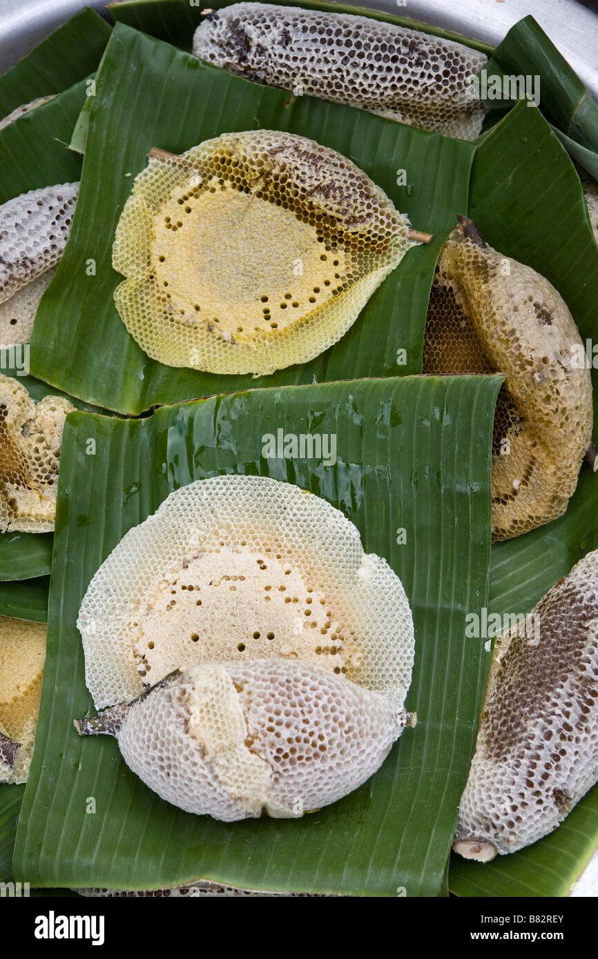 Honey Combs for sale at Chatuchak Weekend Market Bangkok Thailand Stock Photo
