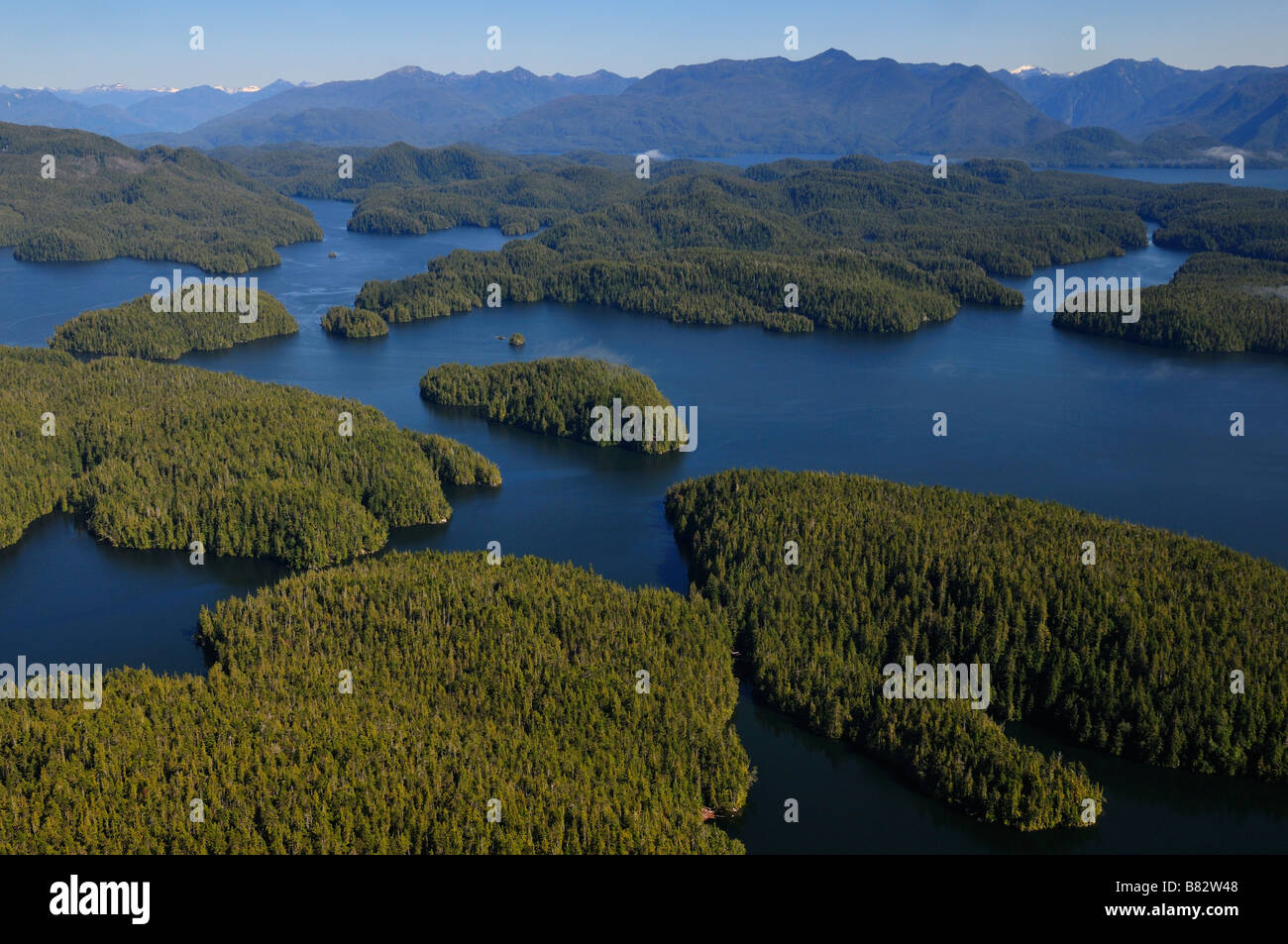 Great Bear Rainforest aerial Stock Photo