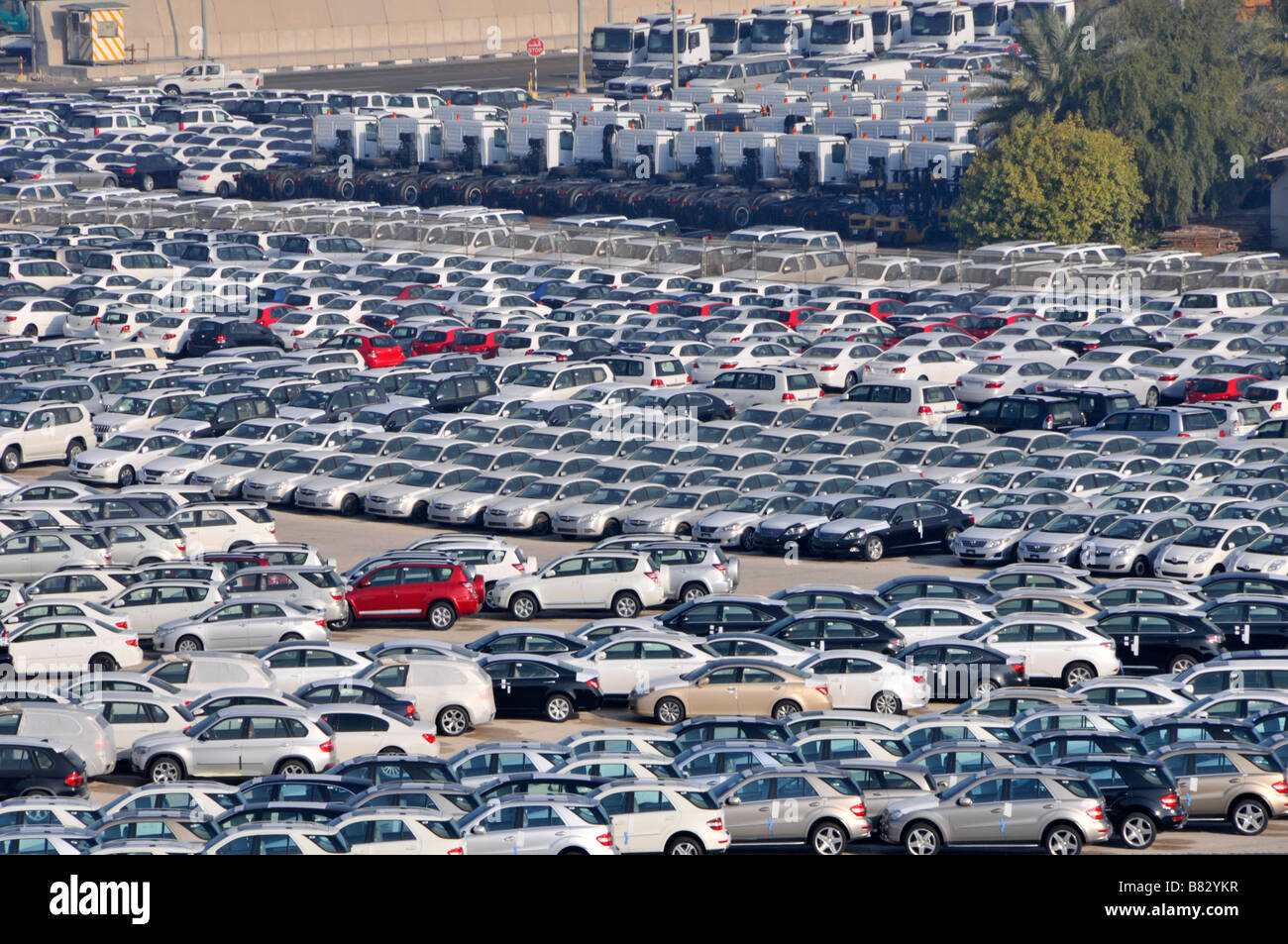 Abu Dhabi looking down close up on dockside storage of imported new cars and trucks awaiting distribution Stock Photo