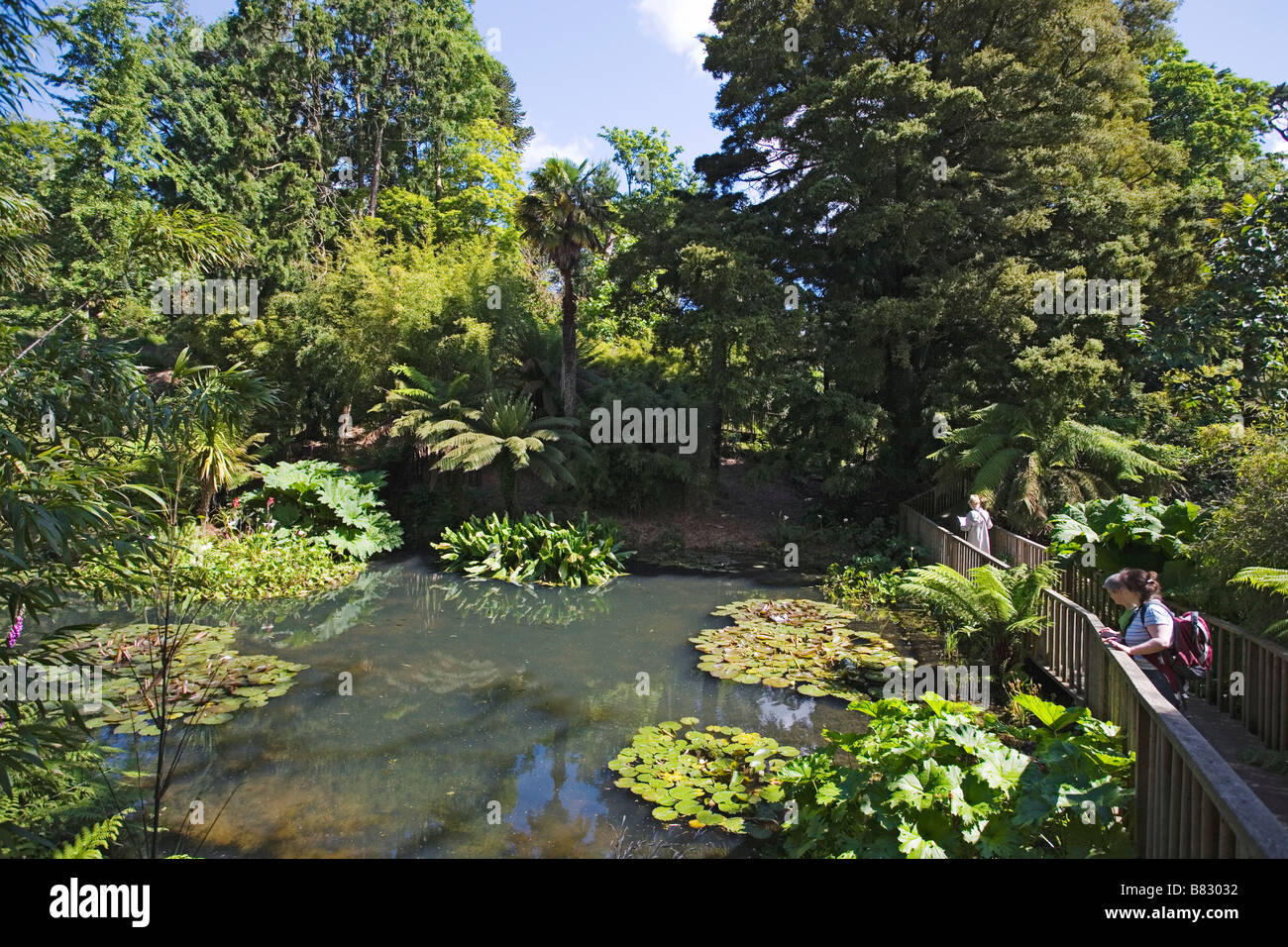 The Lost Gardens of Heligan St Austell Cornwall England United Kingdom