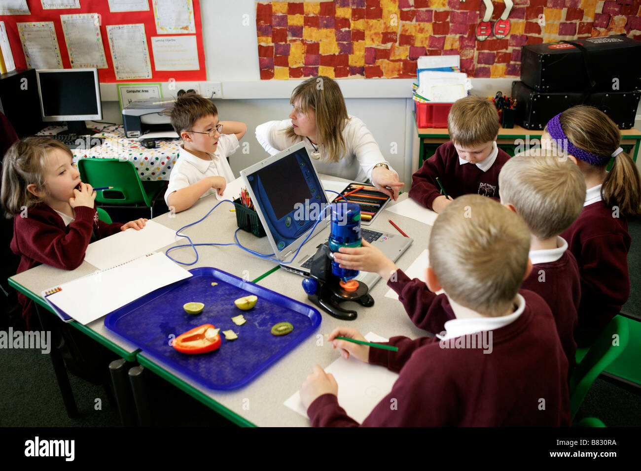 primary school pupils using laptop computers in classroom Stock Photo