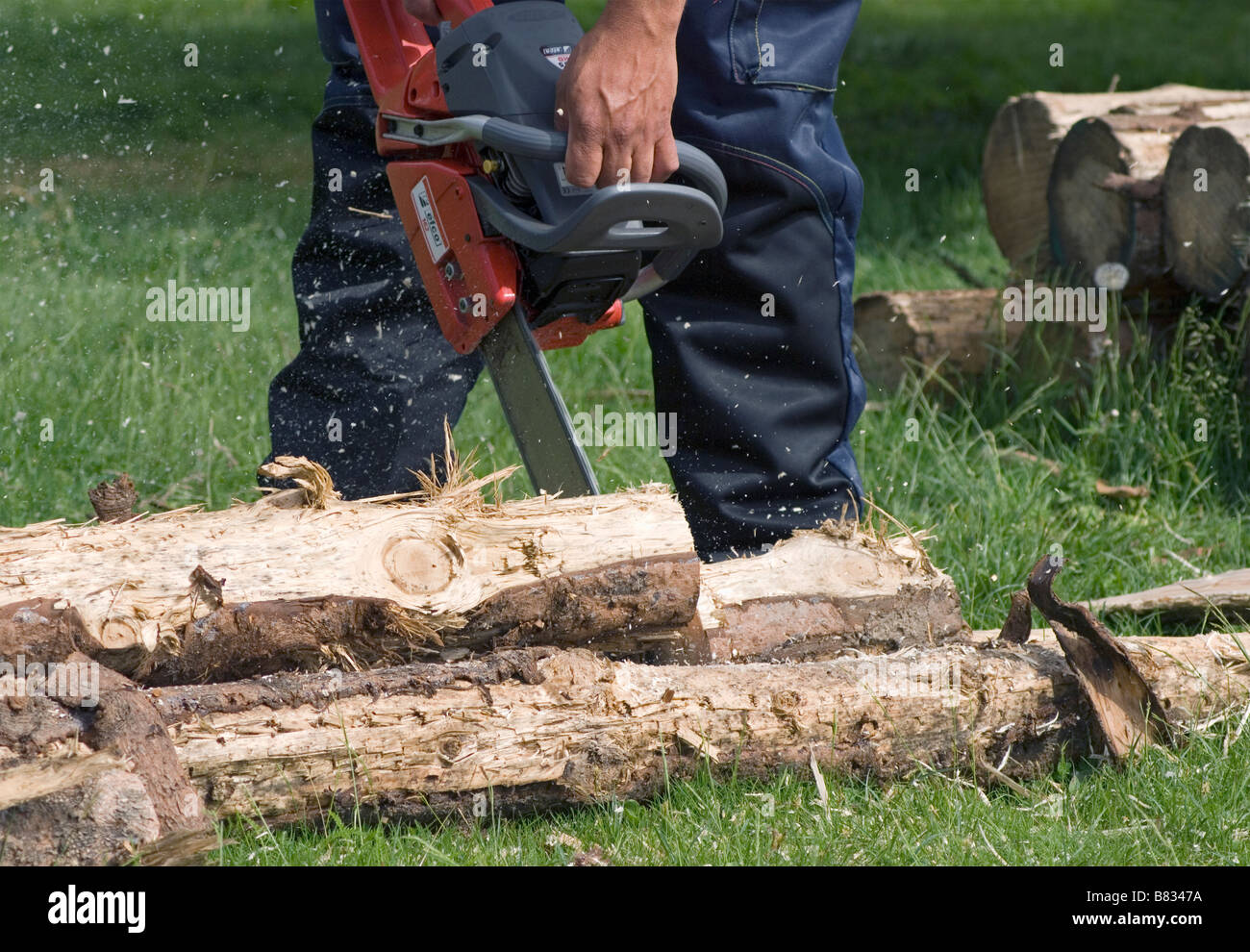 woodcutter cutting logs with chainsaw Stock Photo